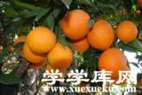 重慶有哪些特色水果 四川重慶的特產