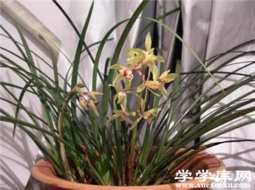 香油